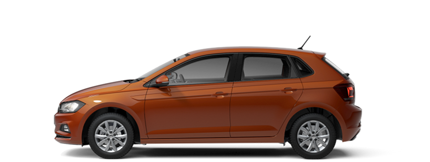 Polo side-view